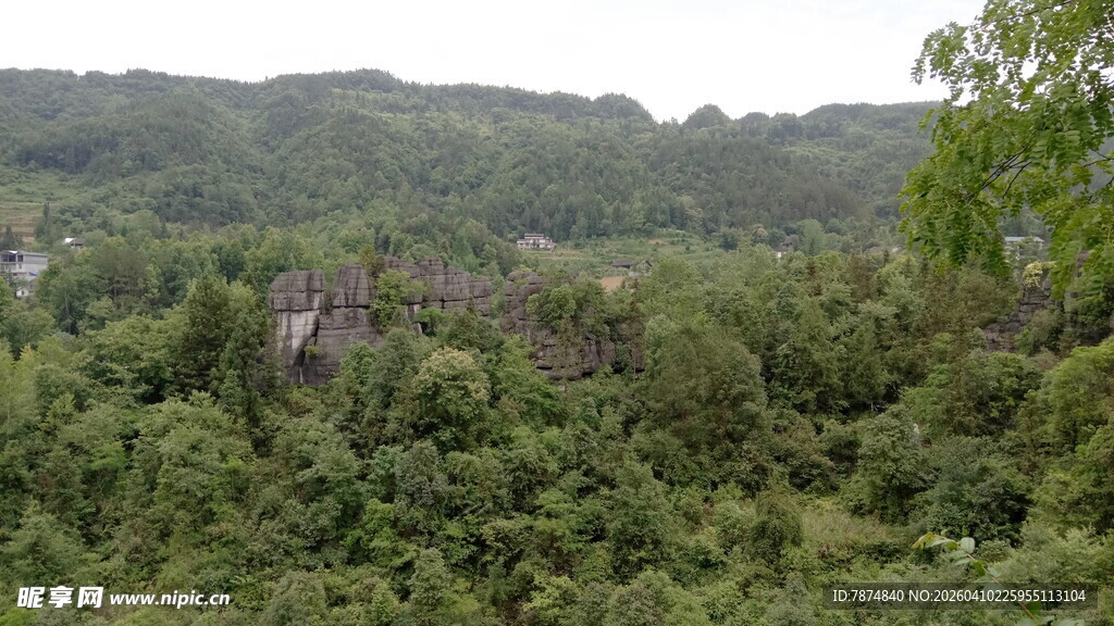 山林葱郁的自然景致