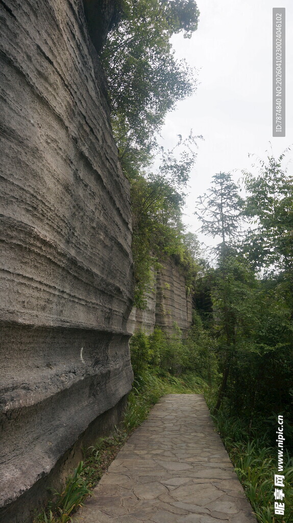 古老石墙旁的幽径