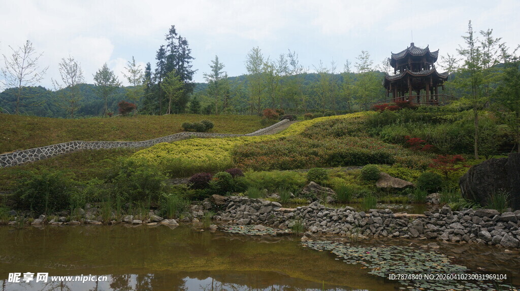 乡村溪边翠绿风景