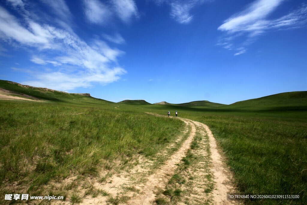 草原上的蜿蜒小路