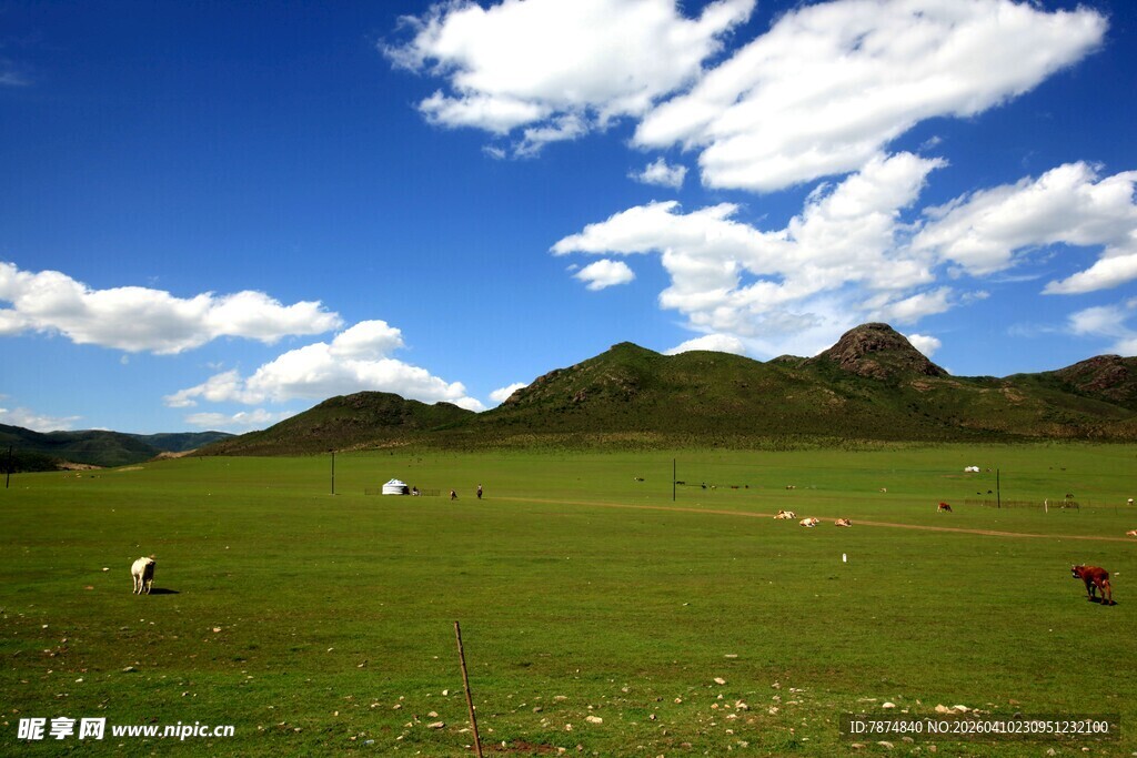 草原风光 远处山峦与羊群