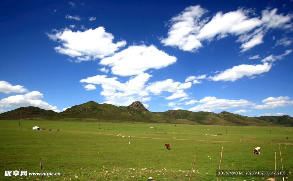 草原风光 蓝天白云与山丘