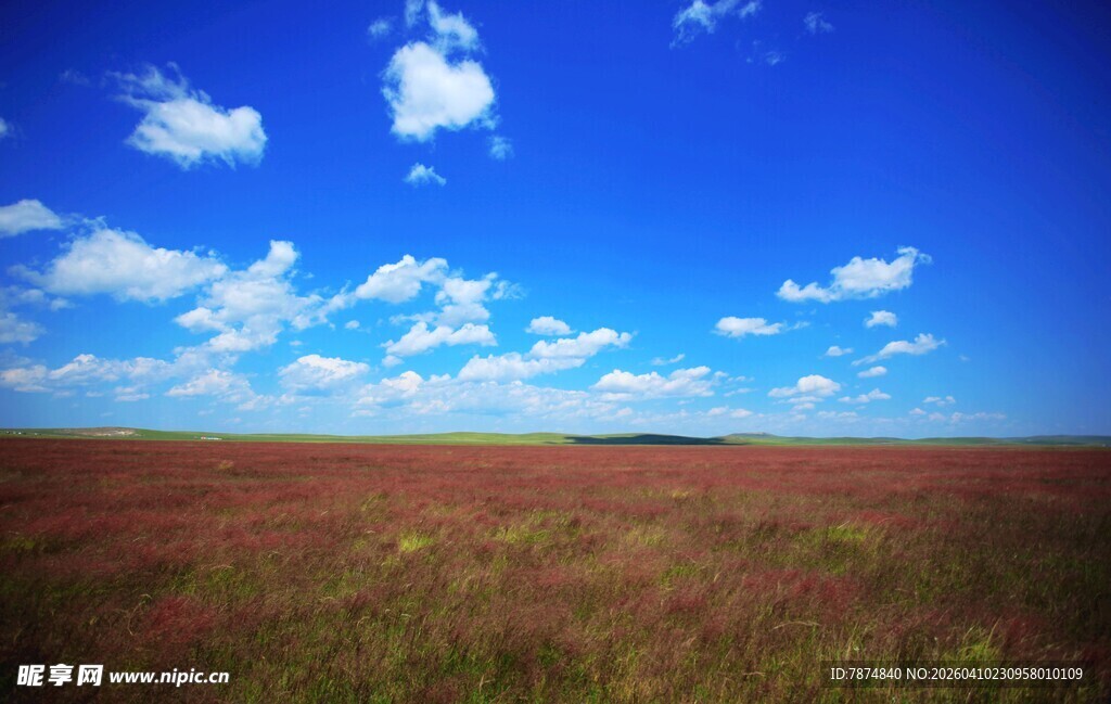 广阔原野上的蓝天白云