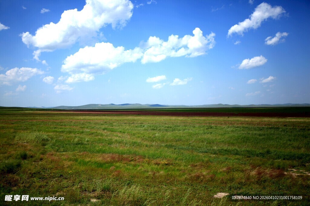 广阔草原蓝天白云美景