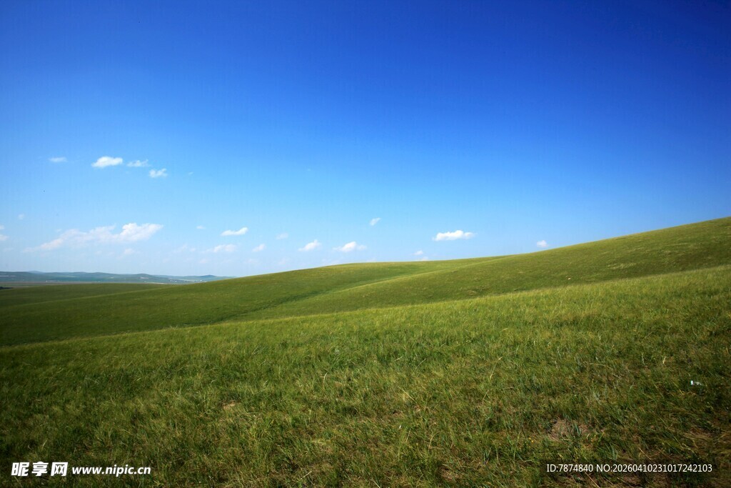 广袤绿野 蓝天相伴