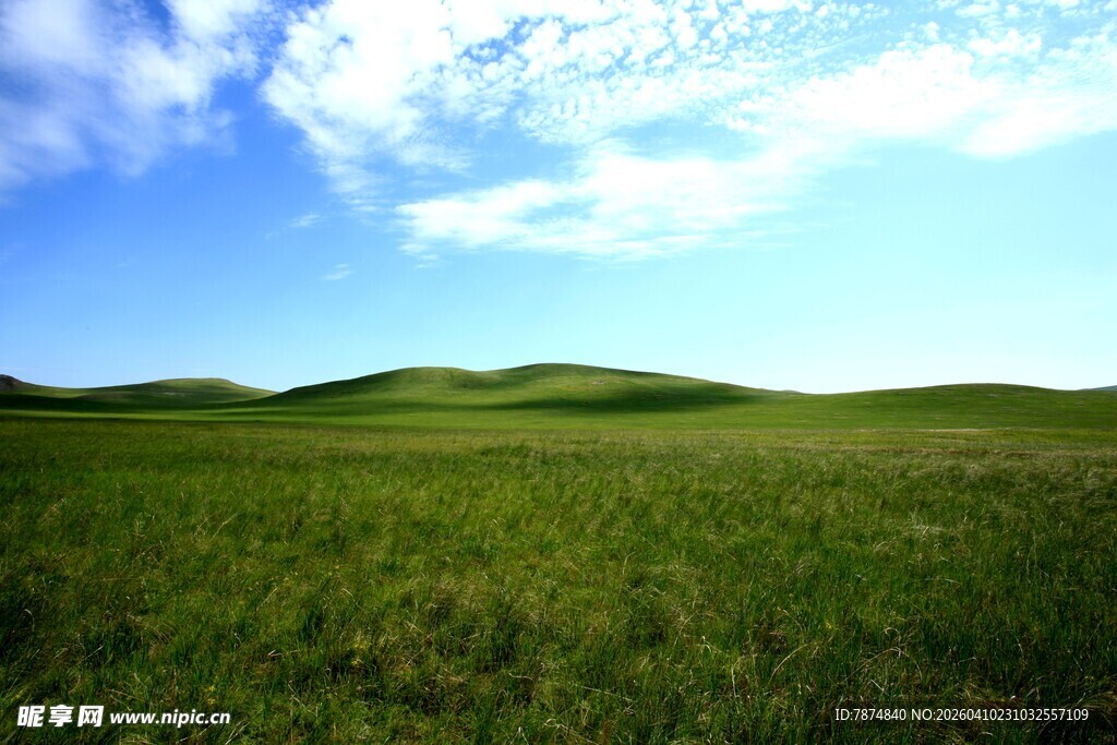 广袤草原 蓝天白云美景