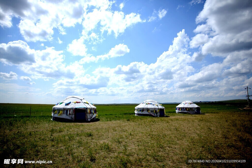 草原上的三辆车