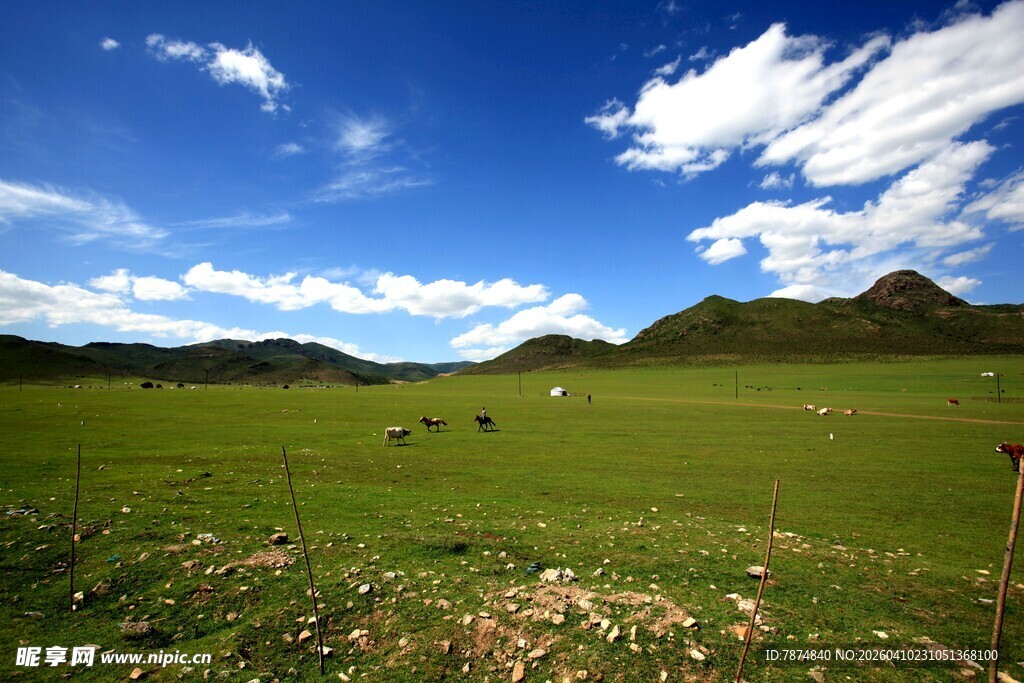 草原风光 蓝天白云下的美景