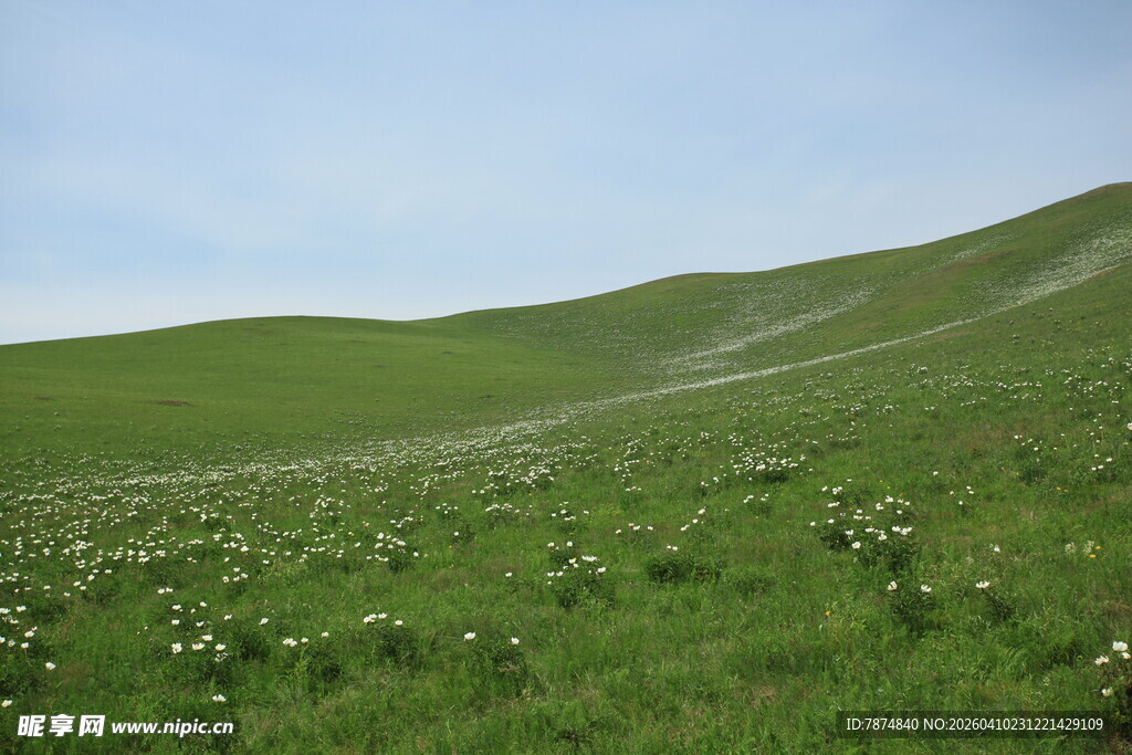 绿意盎然的山坡风景