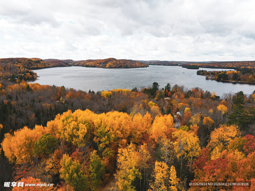 秋日湖畔绚烂多彩的树林