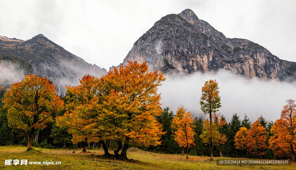 秋景山林云雾缭绕