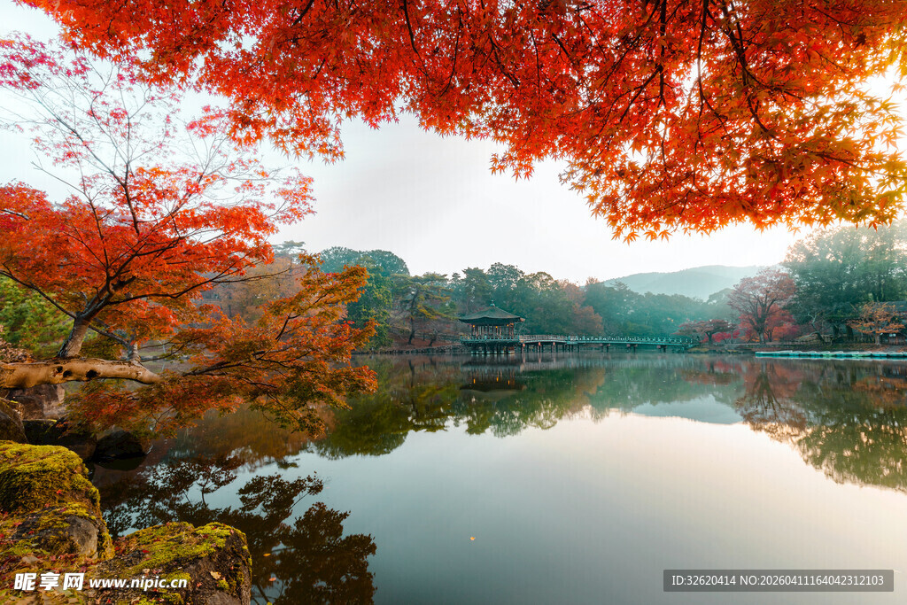 秋日湖畔红叶美景