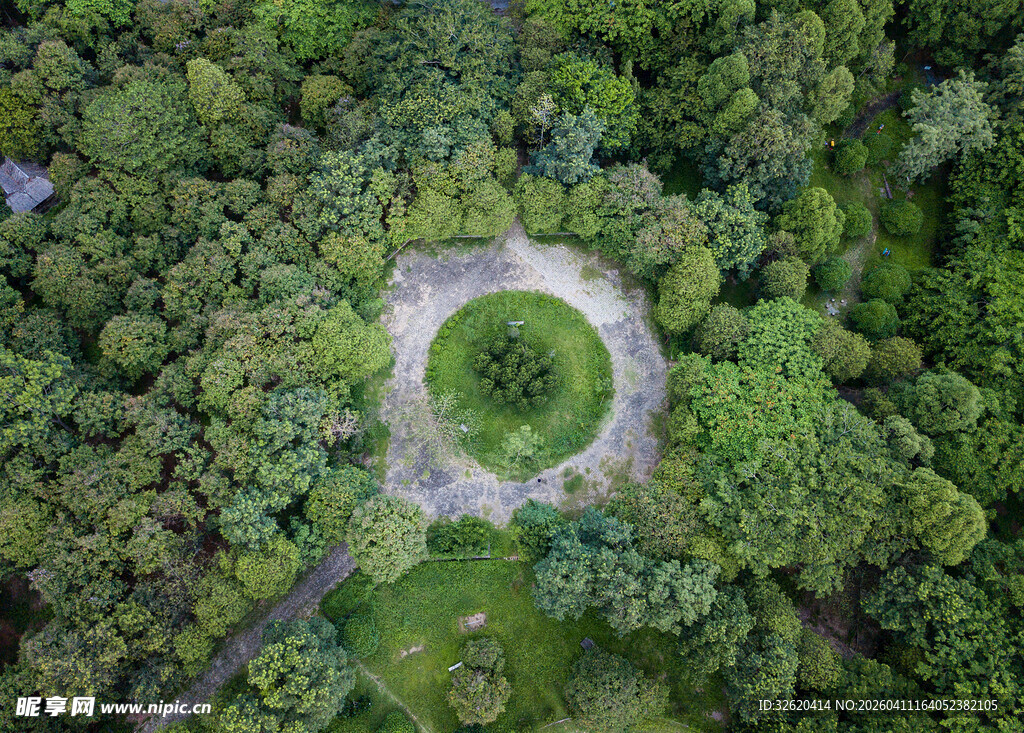 森林中的圆形开阔地