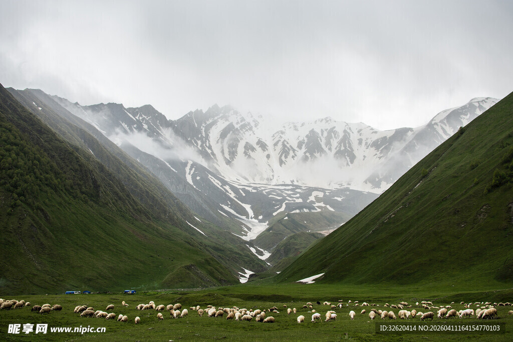 高山草原群羊的壮美风光