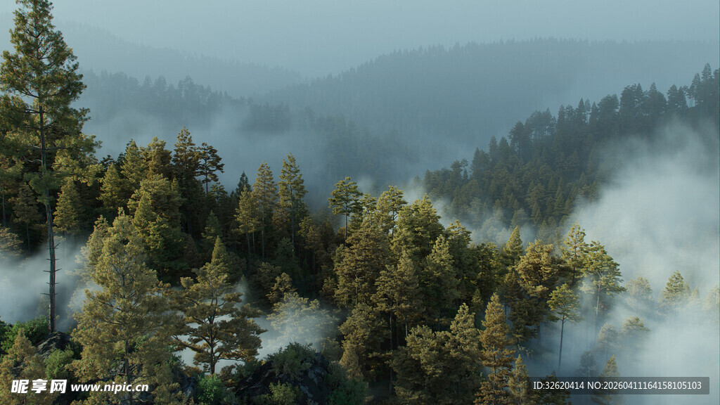 山林云雾缭绕的静谧景致