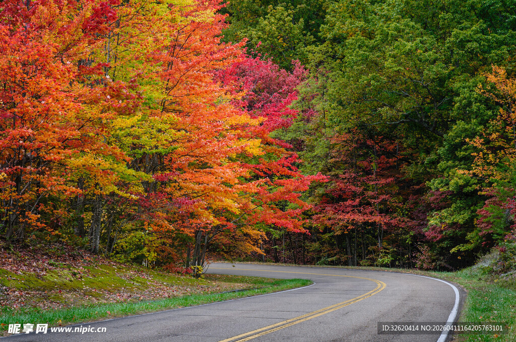 秋日蜿蜒彩林公路美景