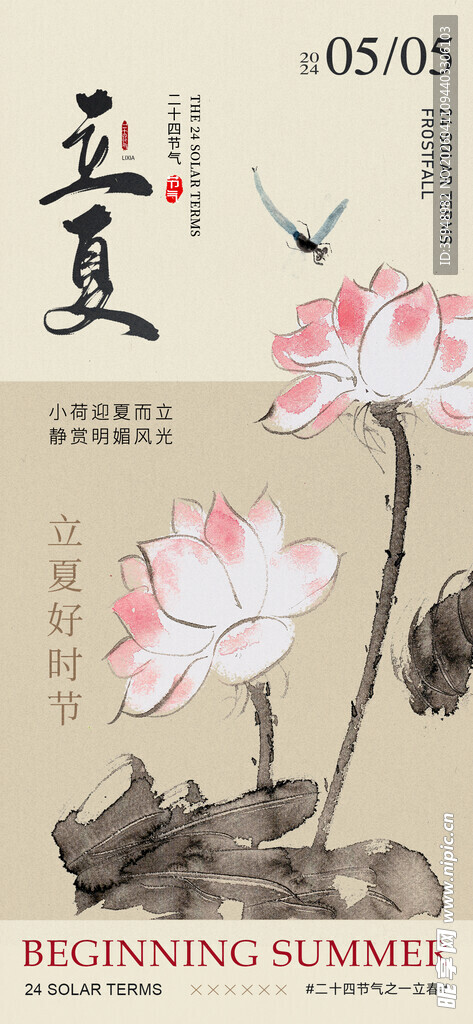 夏日荷花水墨风插画