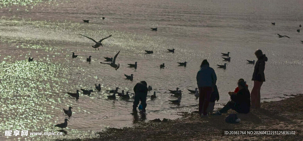 海边人群与飞翔海鸟