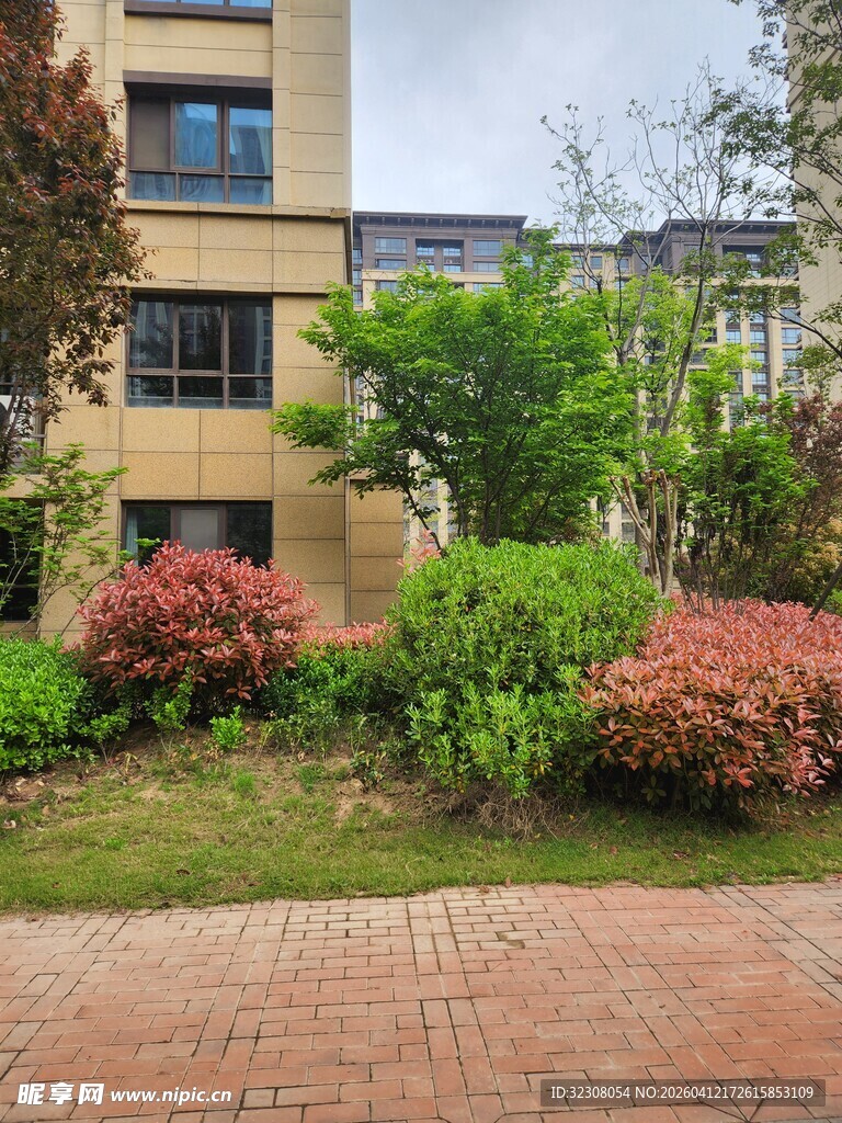 小区绿植环绕的建筑景观