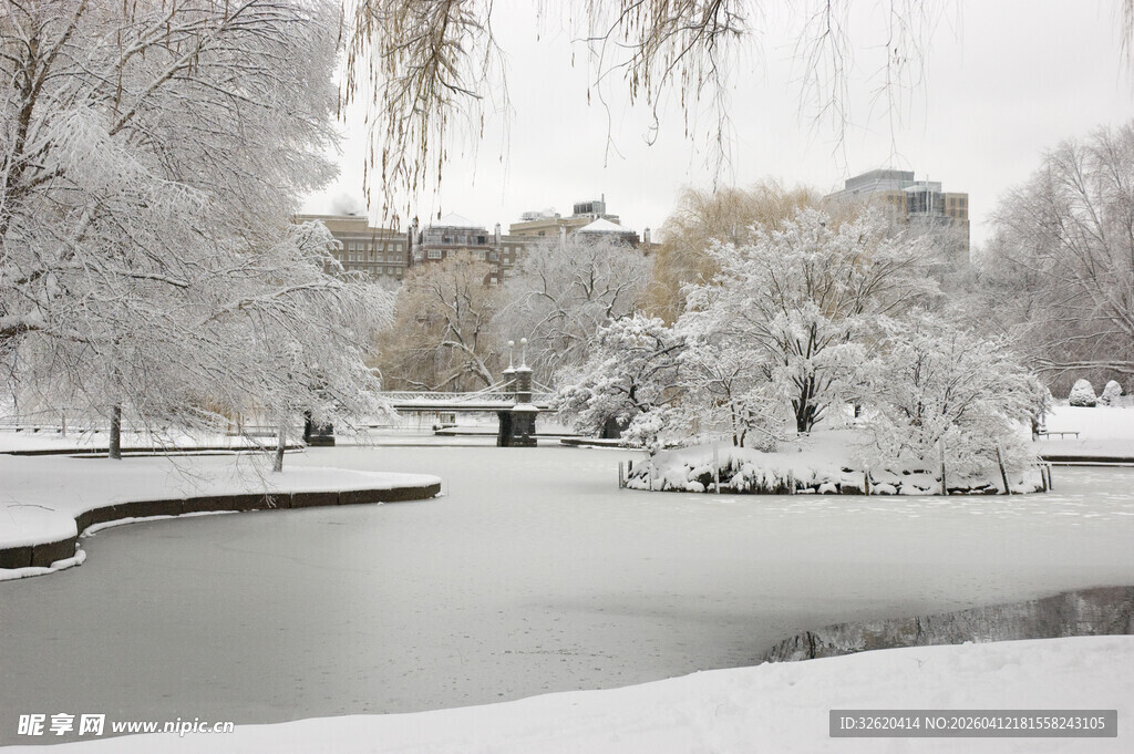 冬日雪景中的宁静公园