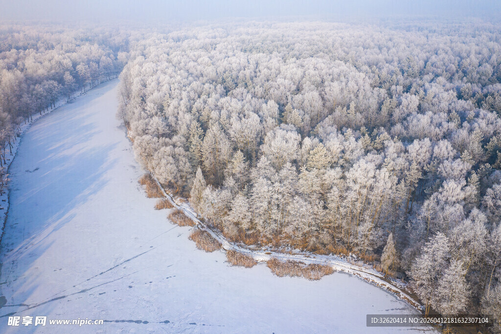 冬日雪覆森林河流美景