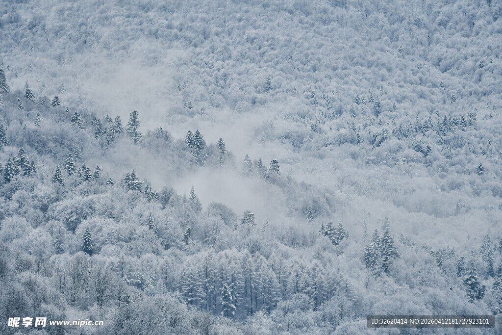 雪覆山林