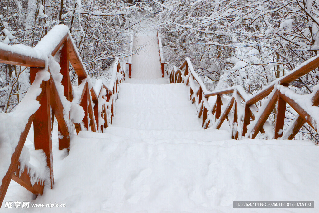 雪覆木梯的冬日美景
