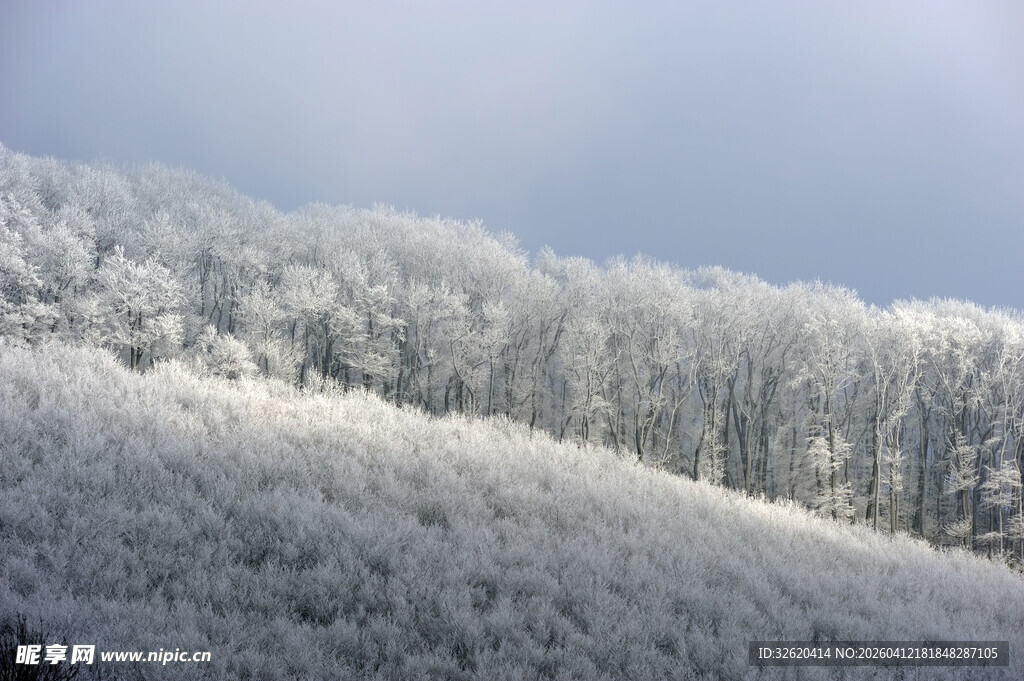 雪覆山林