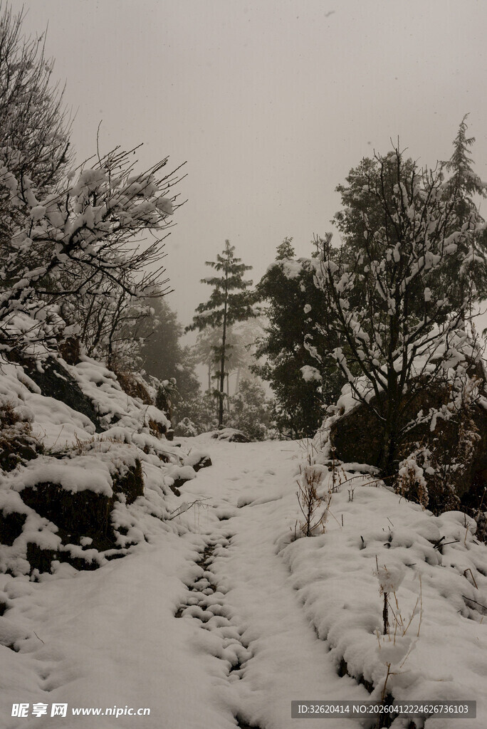 雪覆山林间的蜿蜒小道