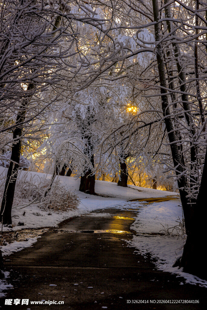 雪后林间小道的静谧美景