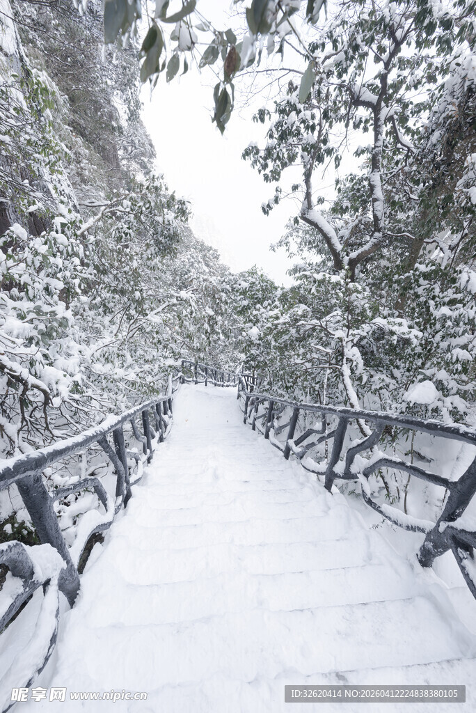 雪覆林间步道美景