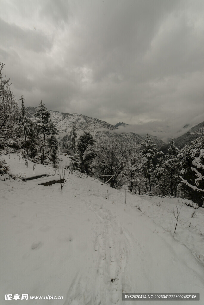 冬日雪景中的山林风光