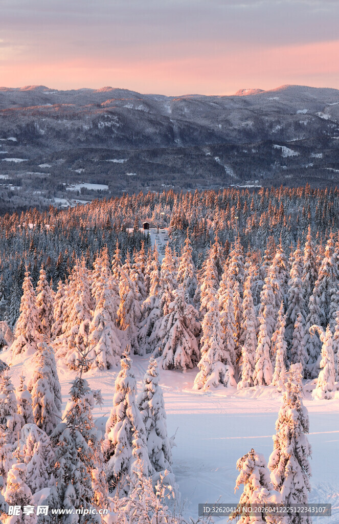 冬日雪林湖泊绝美风光