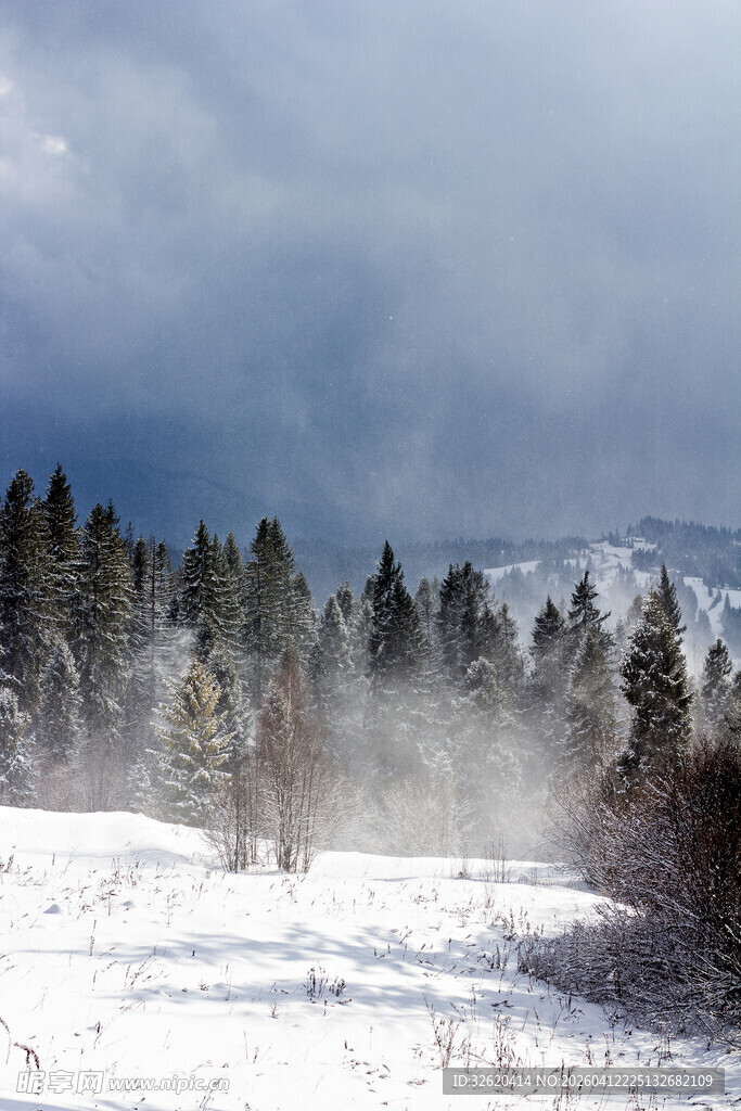 雪野山林间的朦胧景致