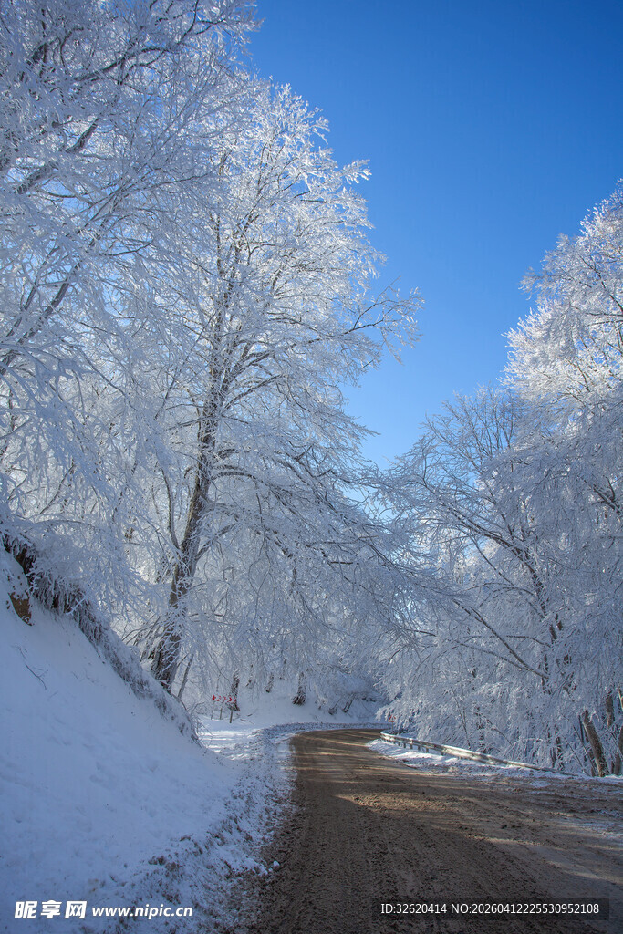 冬日雪覆林间小路