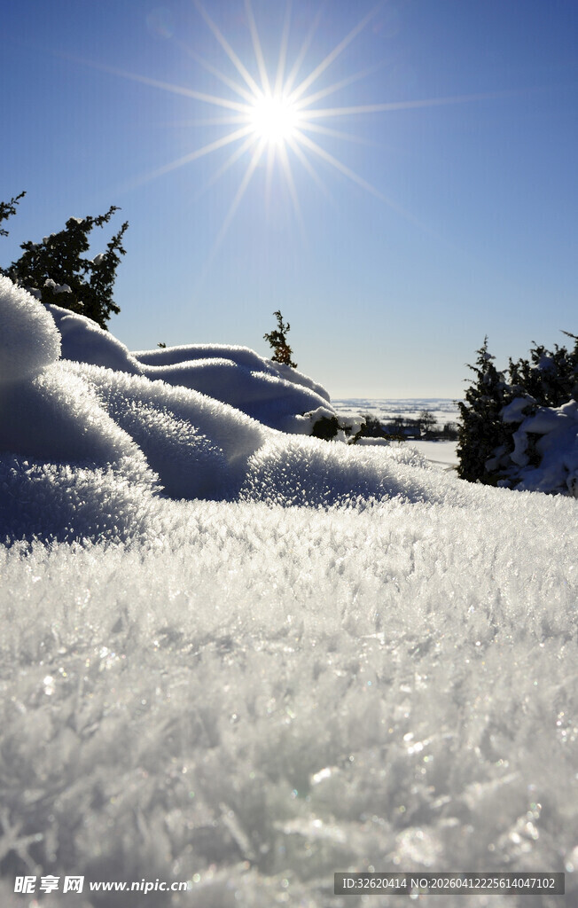 冬日雪景下的耀眼阳光