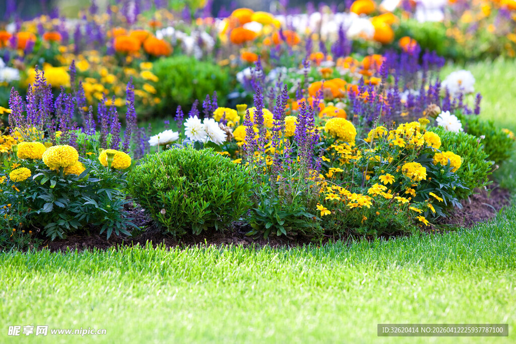 缤纷多彩的花园花卉景观