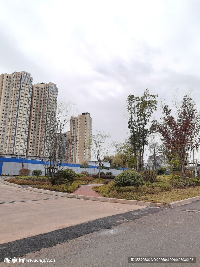 城市道路旁的高楼与绿植