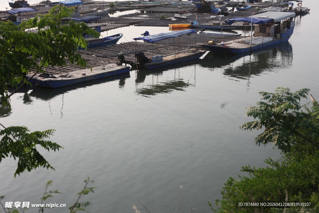 湛江河畔停泊的船只景观