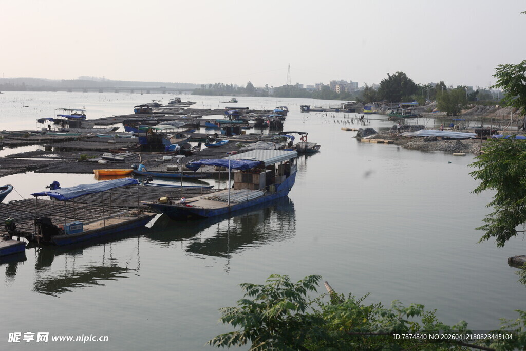 湛江宁静港湾中的停泊船只