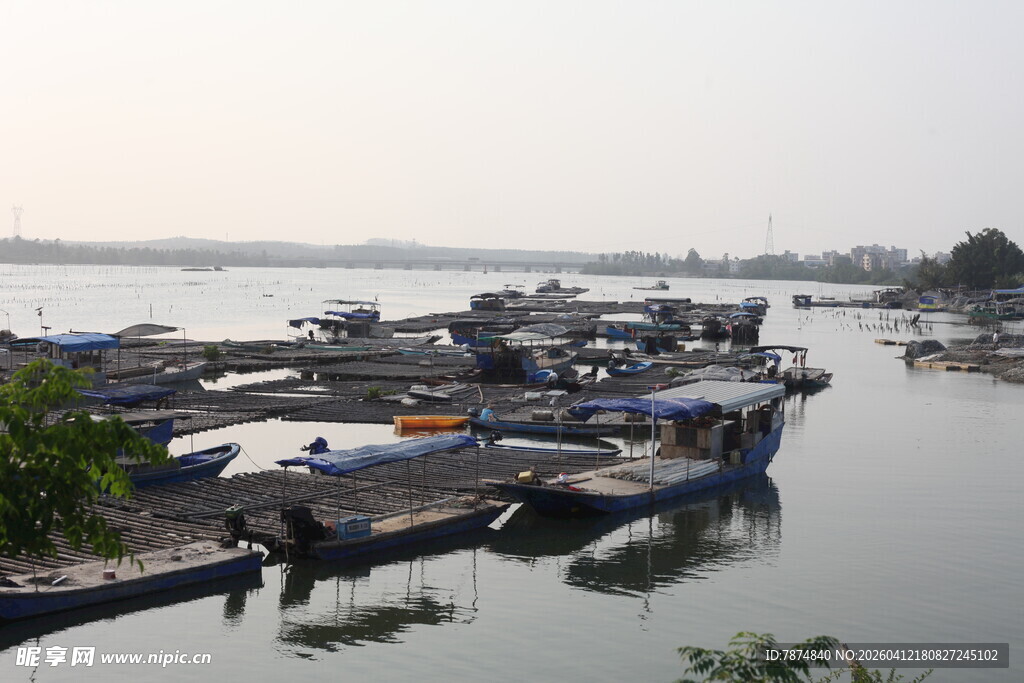 湛江水上停泊的众多船只