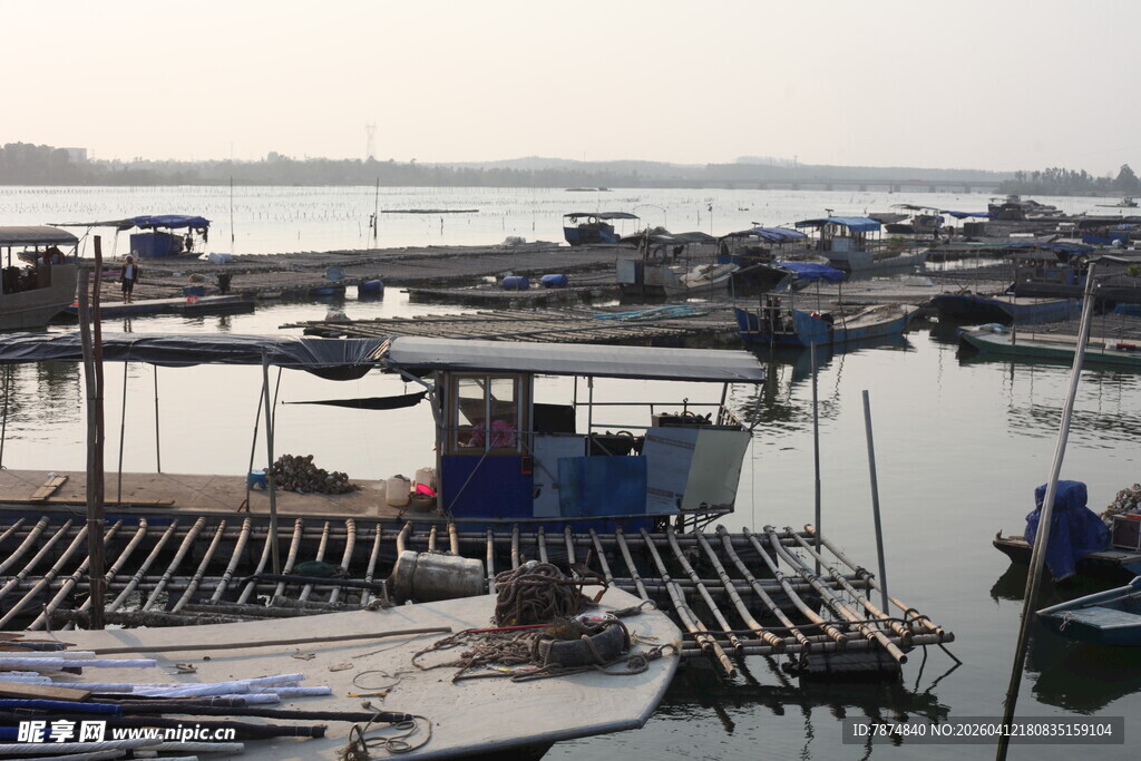 湛江宁静港湾中的停泊船只