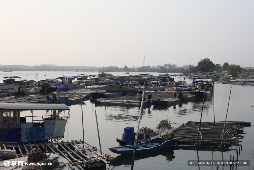 湛江宁静渔港 停泊众多船只