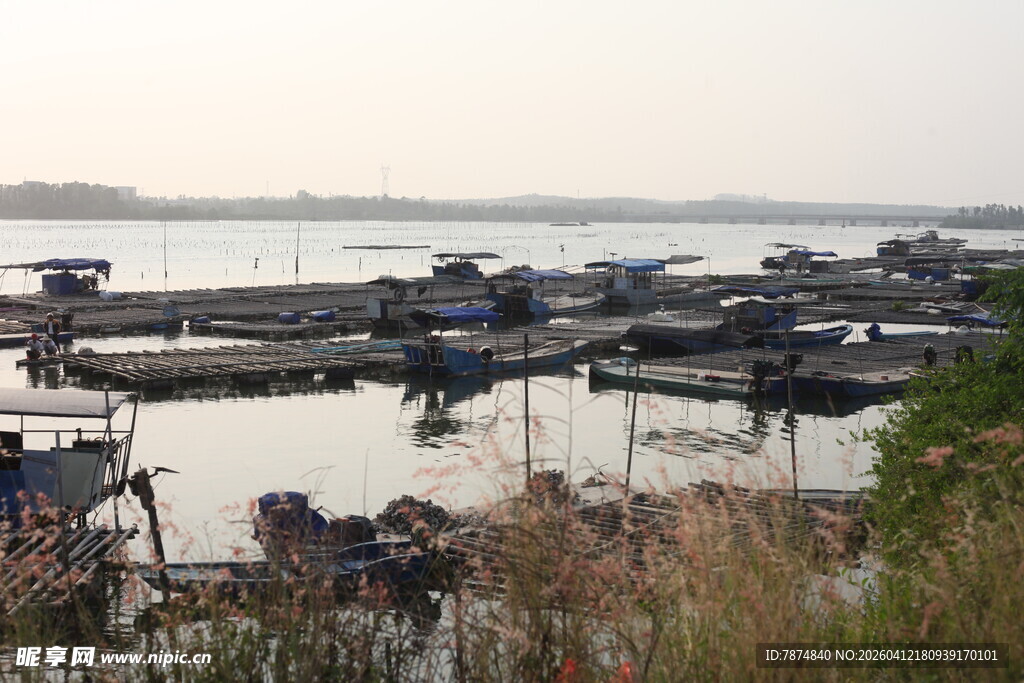 湛江宁静水边停泊的船只景观