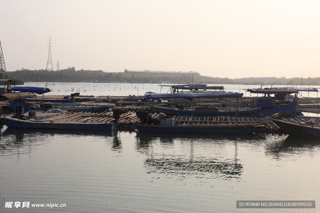 湛江河畔停泊的船只景观