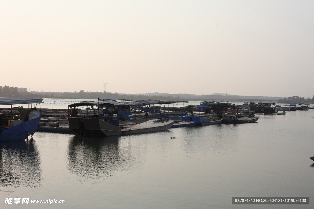 湛江宁静港湾中的停泊船只