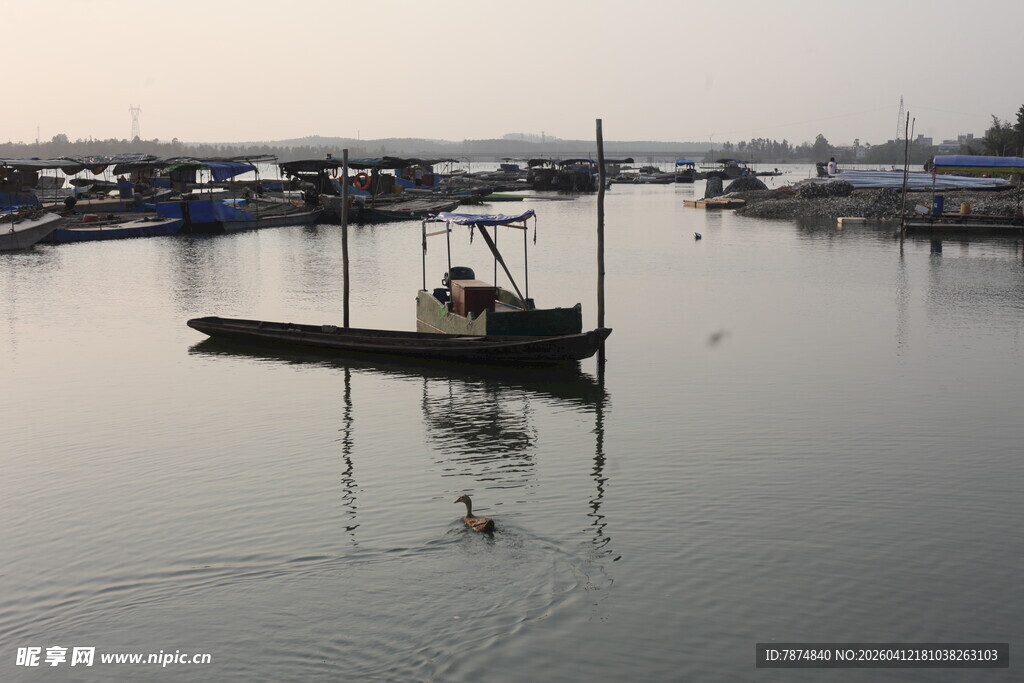 湛江宁静港湾中的停泊渔船
