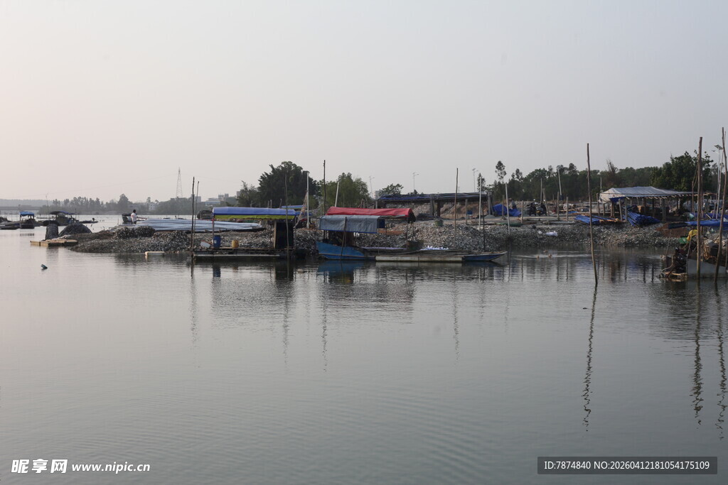 湛江宁静港湾的船只停泊景象