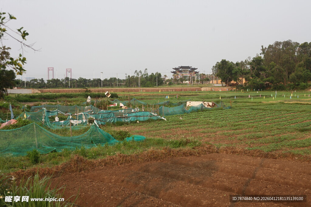 湛江田野中的绿色养殖区域