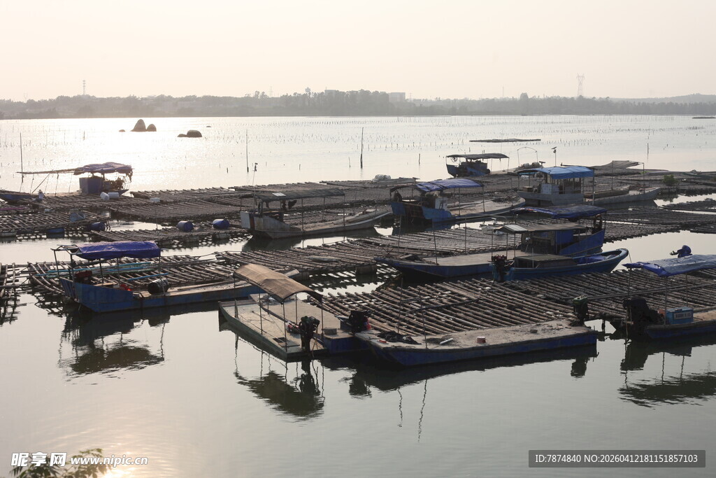 湛江水上码头停泊众多船只